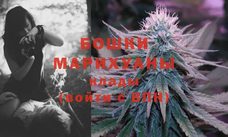 Марихуана Ganja  продажа наркотиков  Гатчина 